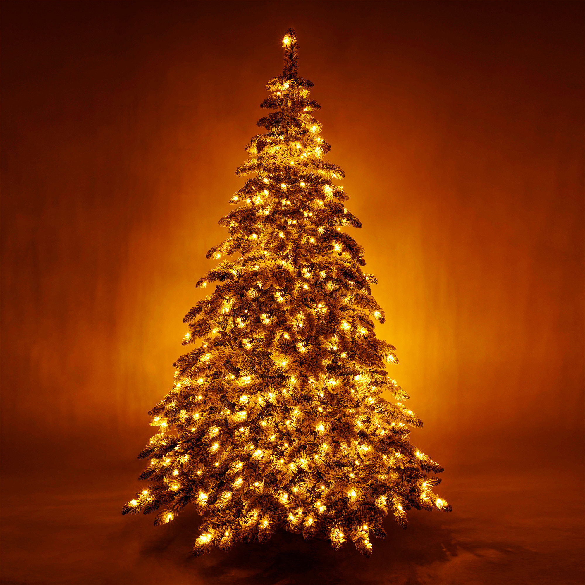 https://assets.wfcdn.com/im/92522256/compr-r85/2539/253969936/hanifan-75-lighted-christmas-tree.jpg