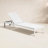 Aynura 25" Patio Chaise Lounge-29471484