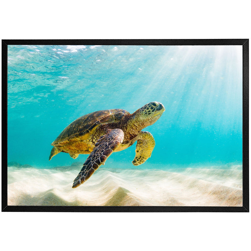 Abdisalam Single Picture Frame Print, Black Framed, 76cm H x 114cm W x 4cm D