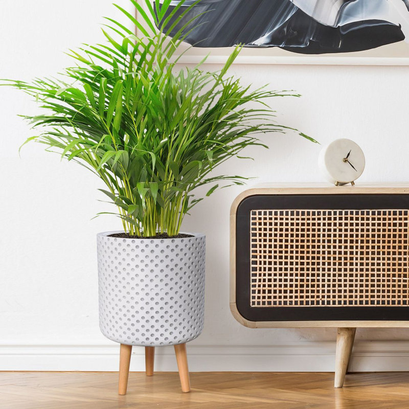 Dotted Style Cylinder Planter with Feet, White, 46cm H x 30.5cm W x 30.5cm D