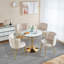 Chaise de salle à manger moderne (ensemble de 2) en velours et dossier confortable, convient à la salle à manger, au salon, au café, à structure simple