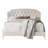 Dwaun Upholstered Platform Bed-797771565-797771566