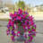 2Pcs Fake Hibiscus Artificial Hanging Flowers Plants