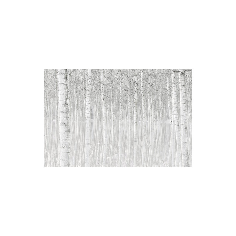Wrapped Canvas Print, 50.8 cm H x 76.2 cm W