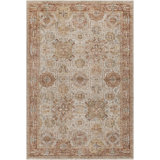Oriental Indoor Rug