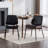 Titus Upholstered Dining Chairs-63317229-47923323