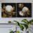 " Cotton Balls I " 2 Piece Art Watercolor Print-1556693460
