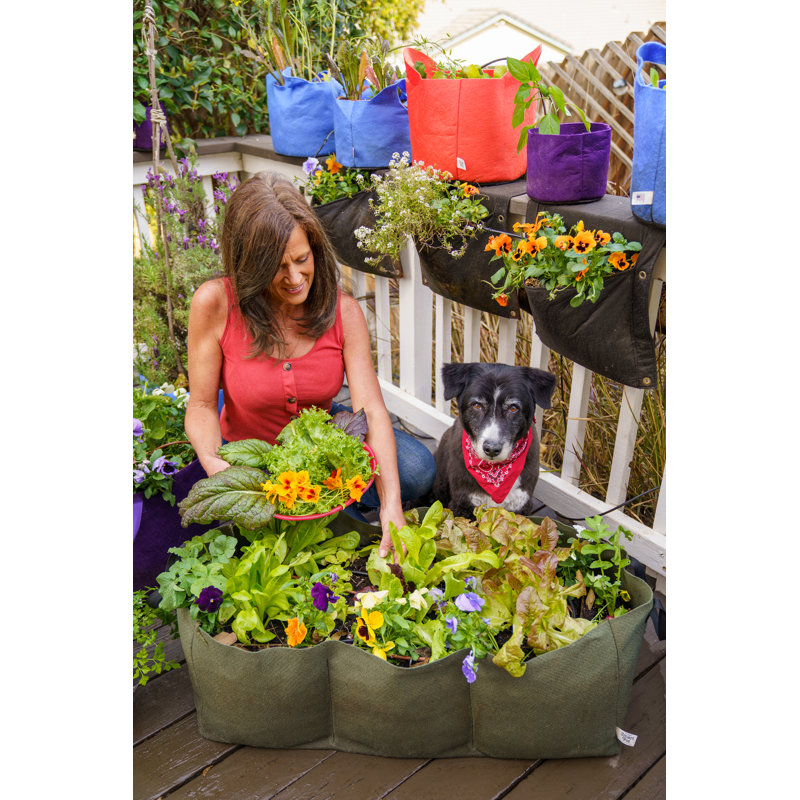 Planter Box