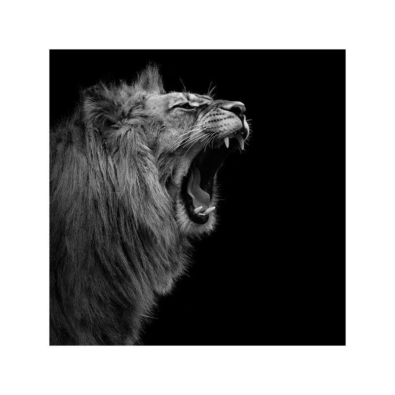Lukas Holas - Wrapped Canvas Print, 66.04 cm H x 66.04 cm W x 3.175 cm D