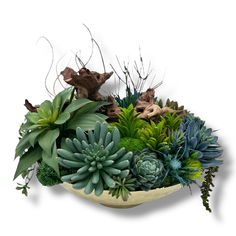 Conception succulente dans un vase en métal à piédestal circulaire doré