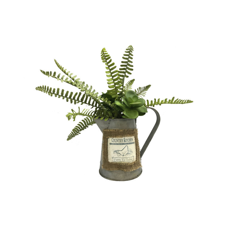 Plante de palm