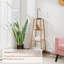 Ameyali Wood Plant Stand-1484354318