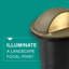 Hardy Island Low Voltage Hardwired Well Light