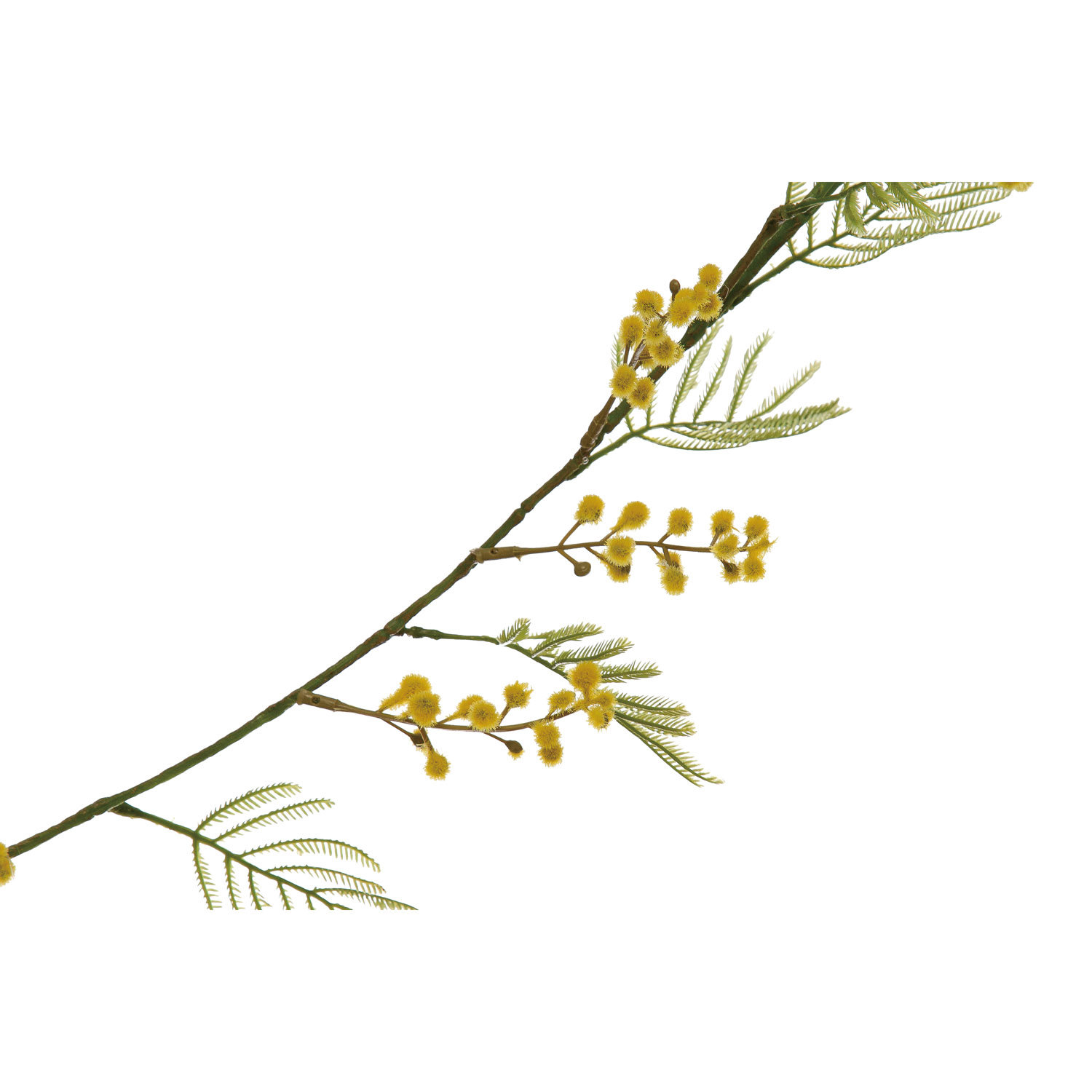 Floral Garland