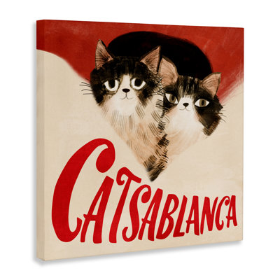 Cats Casablanca