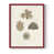 Red Single Picture Framed