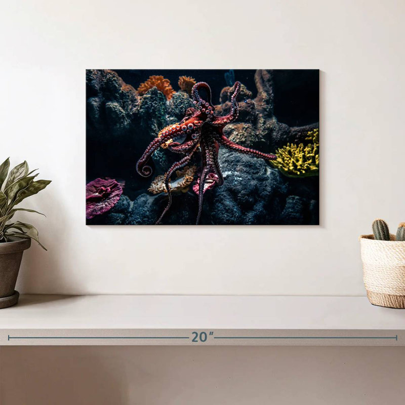 Brampt Octopus Habitat, 8" H x 12" W