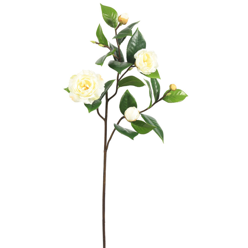 CAMELLIA SPRAY