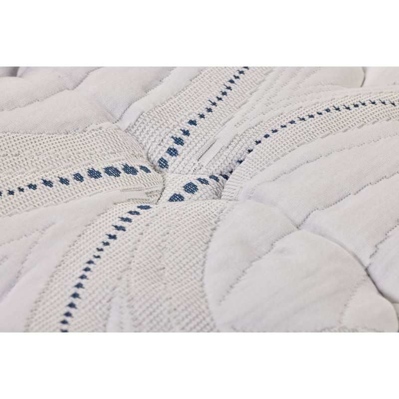 Matelas pour grand lit ferme avec technologie de refroidissement et mousse, profondeur de 80 po, largeur de 60 po, hauteur de 10 lb, blanc bleu, s'adapte aux cadres de lit avec support en mousse confortable, profond et réglable