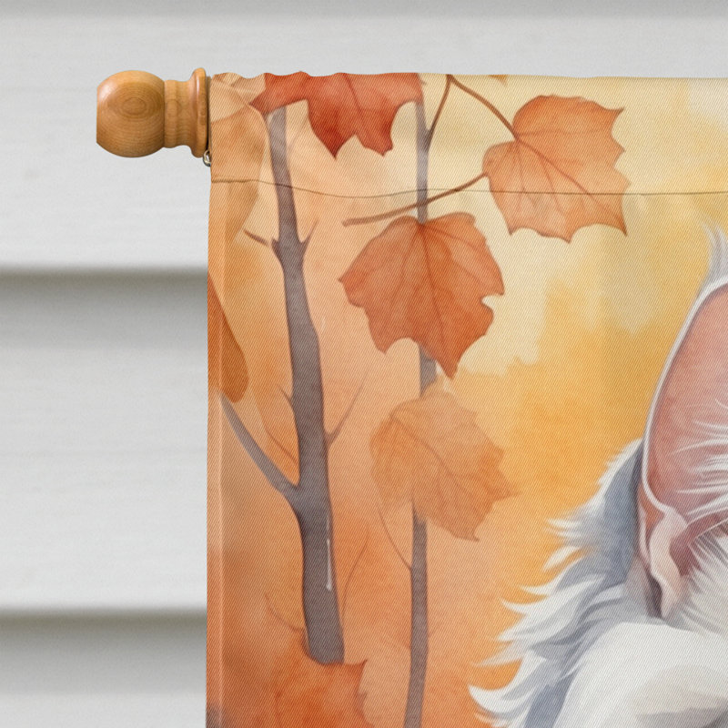 Chat en feuilles d'automne, Angora Turc