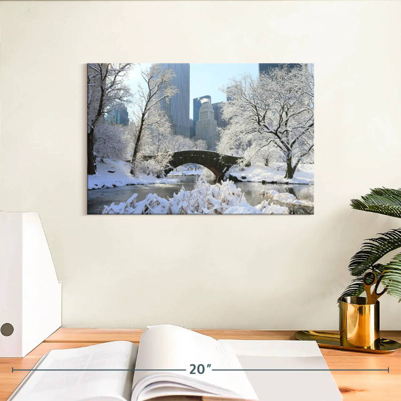Kavia Snowy Central Park, NY, H 8 po x l 12 po