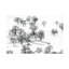 Art hollandais sur toile Hua Zhu Bashang-109223365