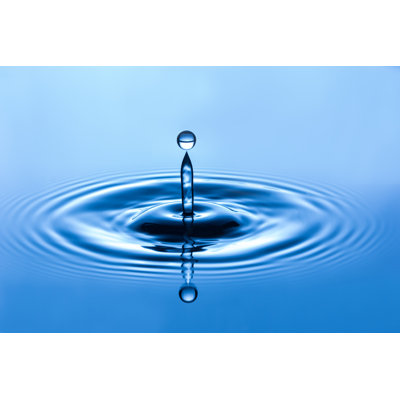 Water Drop - Wrapped Canvas Print