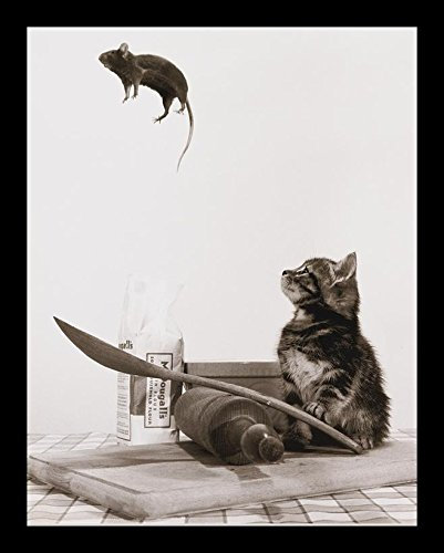 «Dont Play with Your Food», photographie photographique encadrée
