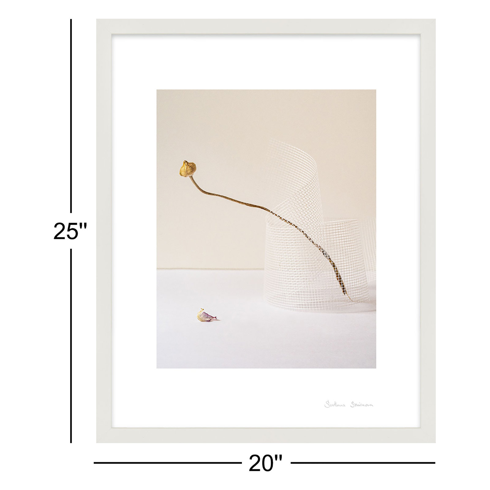 Lombard "Balance 2" Photo Print, White, 25" H x 20" W x 1.25" D