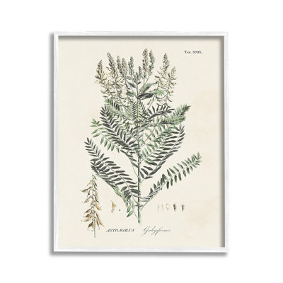 ForestPlantStudyGicleeArtbyMartini