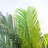 Artificial Cycas Plant in White Tower Planter