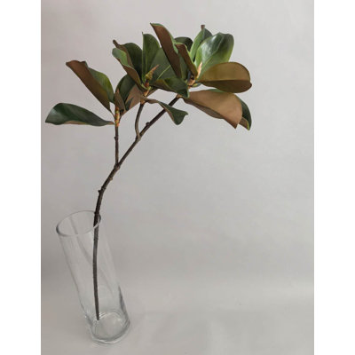MAGNOLIA LEAF SPRAY X3