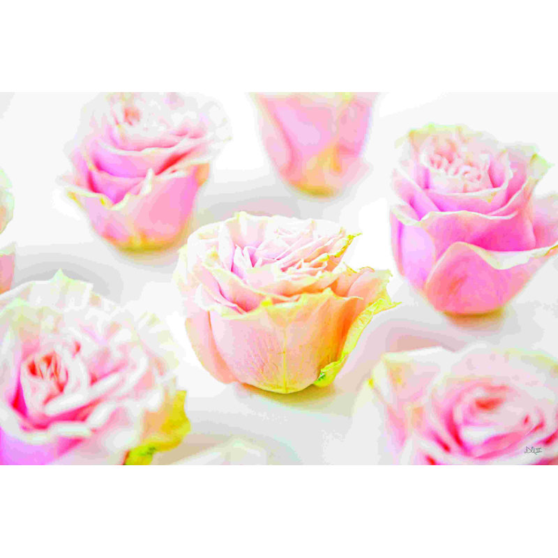 Fleurs de rose pâle III, L 48 po x H 32 po