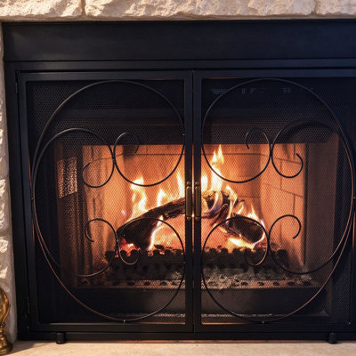 2 Panel Right Hand Swing Metal Fireplace Door