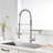 FLG Pull Down Kitchen Faucet