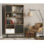Lief 160cm H x 90cm W Standard Bookcase