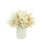 Faux Pampas Grass Grass in Ceramic Vase