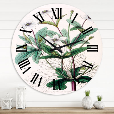 Vintage Plant Life XXI - Horloge murale traditionnelle