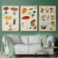 " Mushroom Species VI " 3 - Pieces-91891301-91891302