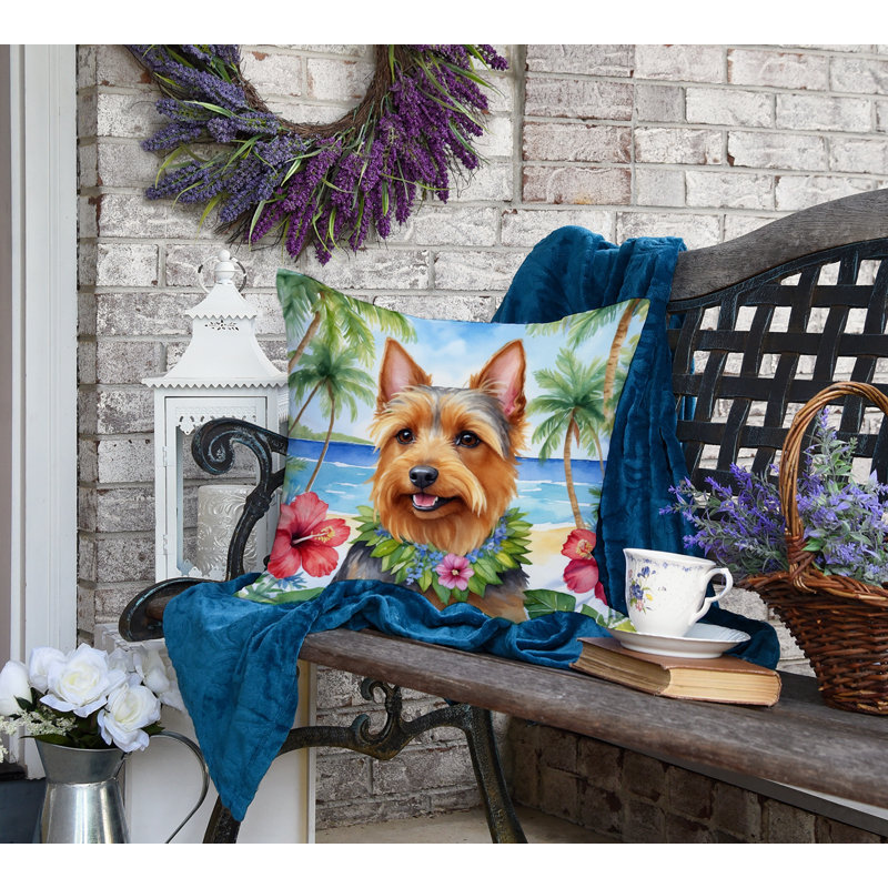 Other/No Pattern Outdoor Throw Pillow, 18" H x 18" W