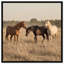 Peaceful Freedom Print by Oliver Gal-772203925-772204014
