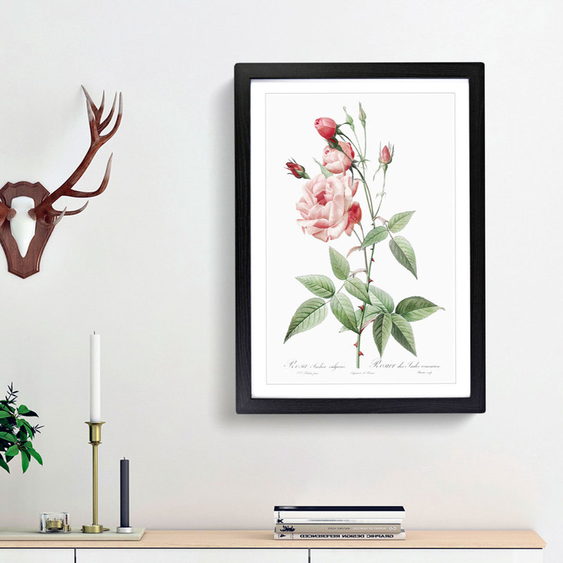 Pink Blush China Rose by Pierre-Joseph Redoute - Picture Frame Painting Print, Black Framed, 36cm H x 27cm W x 2cm D