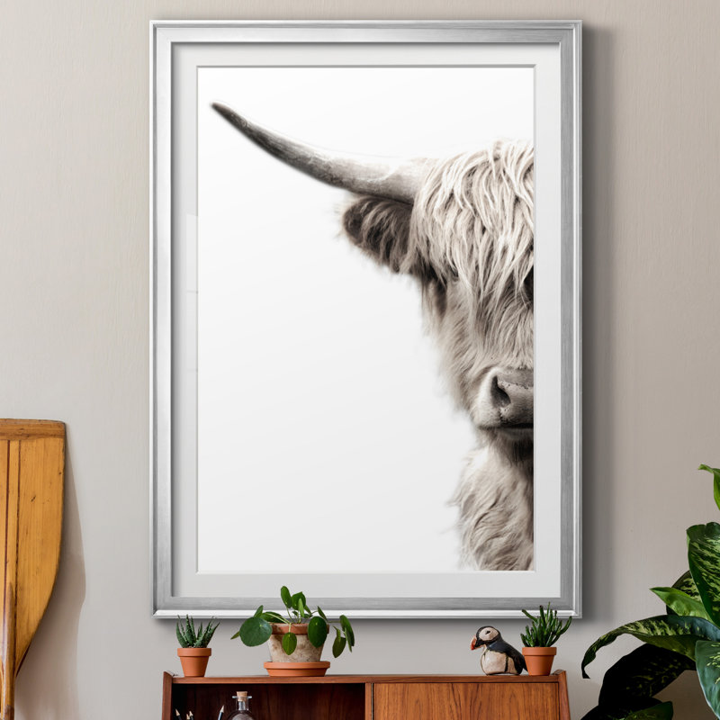 «Highland C best» par Danita Delimont - reproduction de cadre photo, H 18,5 po x l 24,5 po x P 1,5 po, Silver Frame