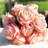Silk Rose Arrangement-999059424