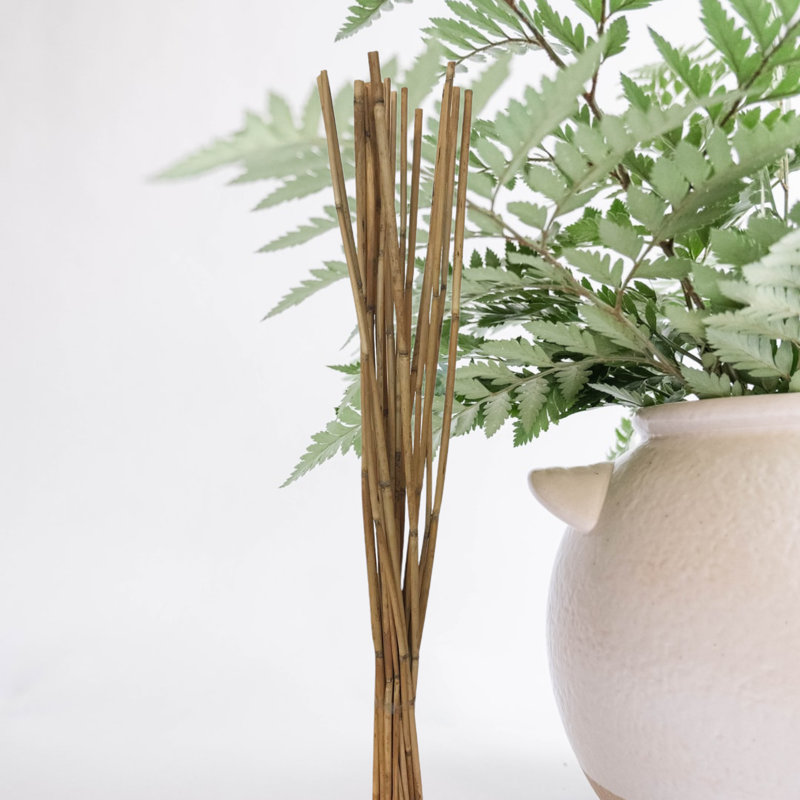 Dunshee Arrangement