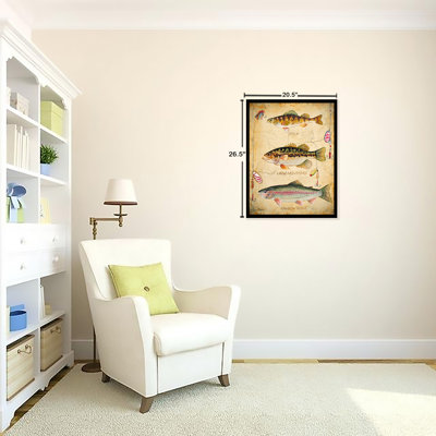 «Fish Hooks, Perch, Large Mouth Bass and Rainbow Trout Poster», impression encadrée