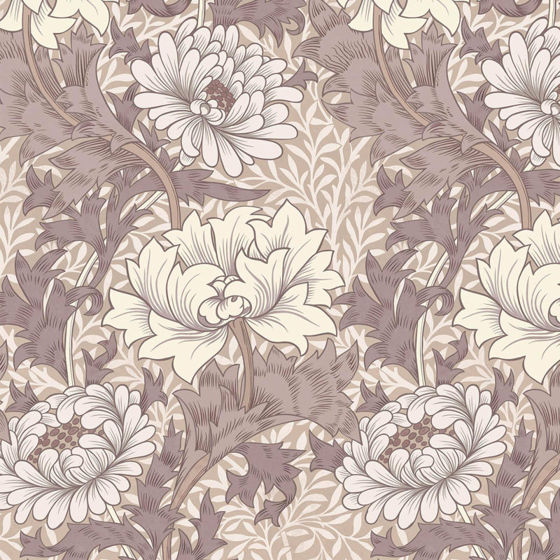 CHRYSANTHEMUM MAGNA Wallpaper - Astrantia 9'10" - full height wallpaper