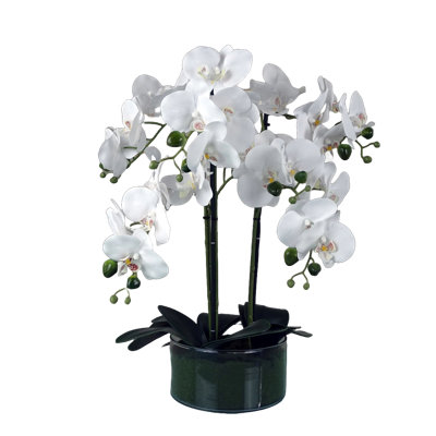 50cm Faux Plant in Glass Planter