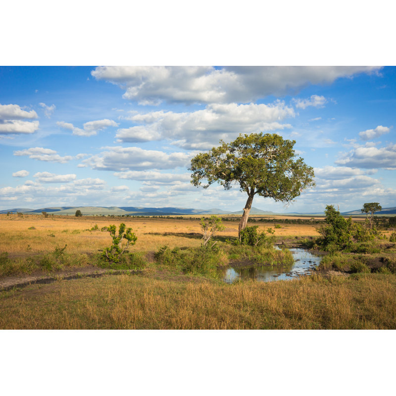 African Landscape With A Tree Kenya by Siete_vidas - Wrapped Canvas Print, 30cm H x 46cm W x 3.8cm D
