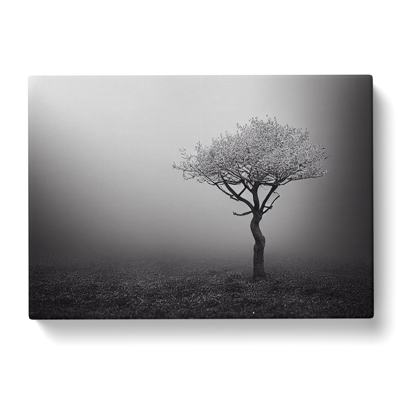 Lonely Tree - Wrapped Canvas Print, 50cm H x 76cm W x 3cm D